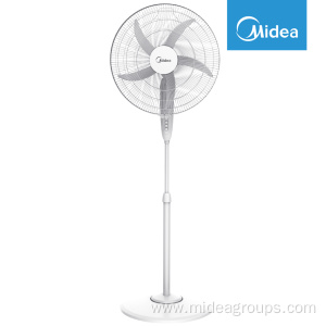 fan